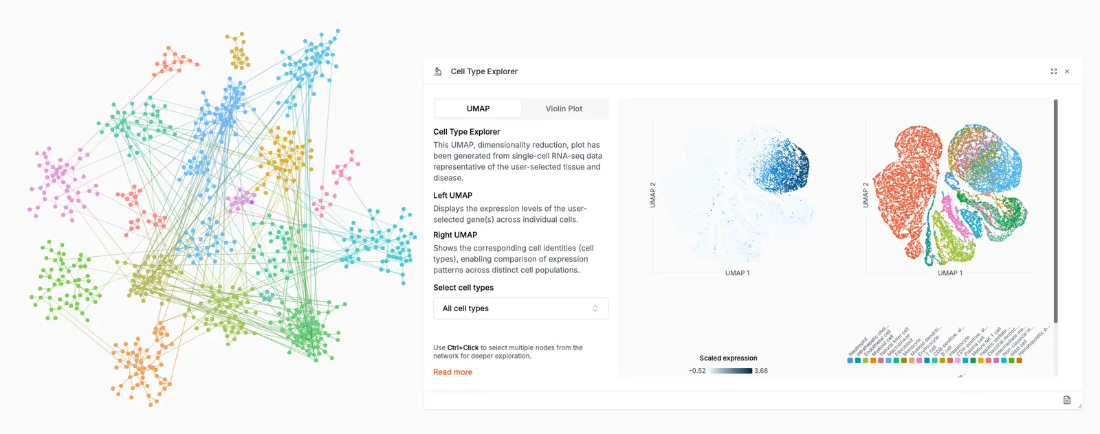 Screenshot of Mavatar Discovery